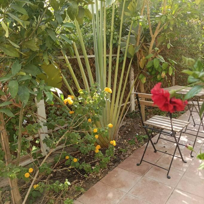 Eilat Stone Terrace-אילת סטון טראס Apartment Exterior foto